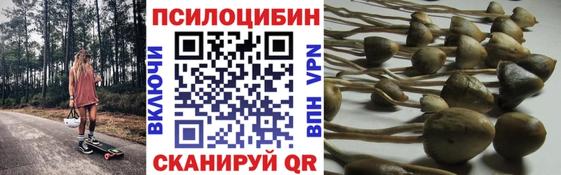 Галлюциногенные грибы мицелий  Купить закладки  Кизел 