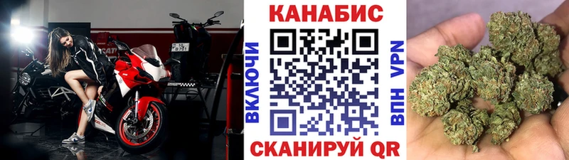 Конопля сатива  Купить где  Кизел 